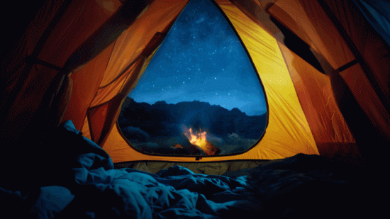 Under the Stars: A Tranquil Campfire Evening  