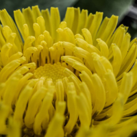 Returning to the Path 